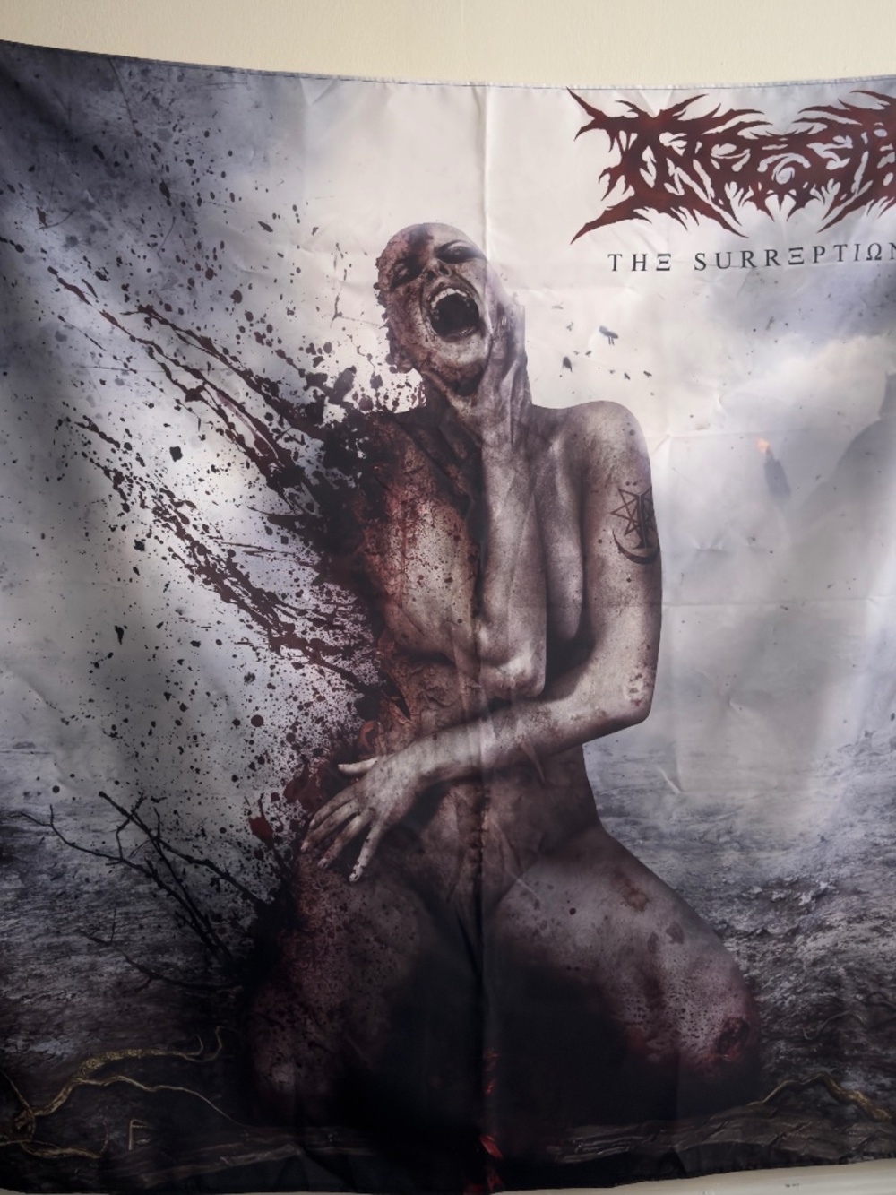 Ingested Tapestry